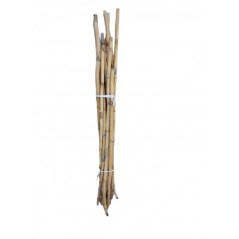 Canne di bambù per Orto
